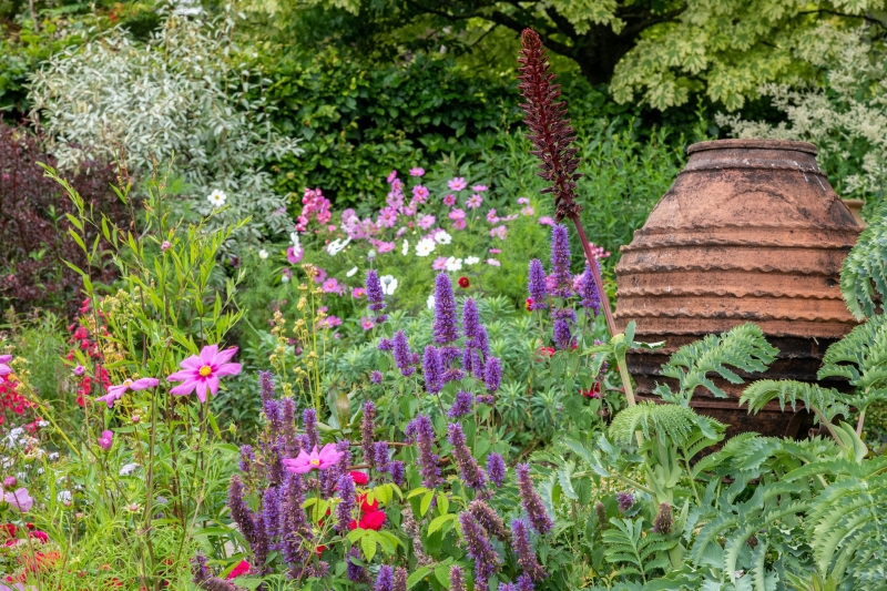 Burrow Farm Gardens